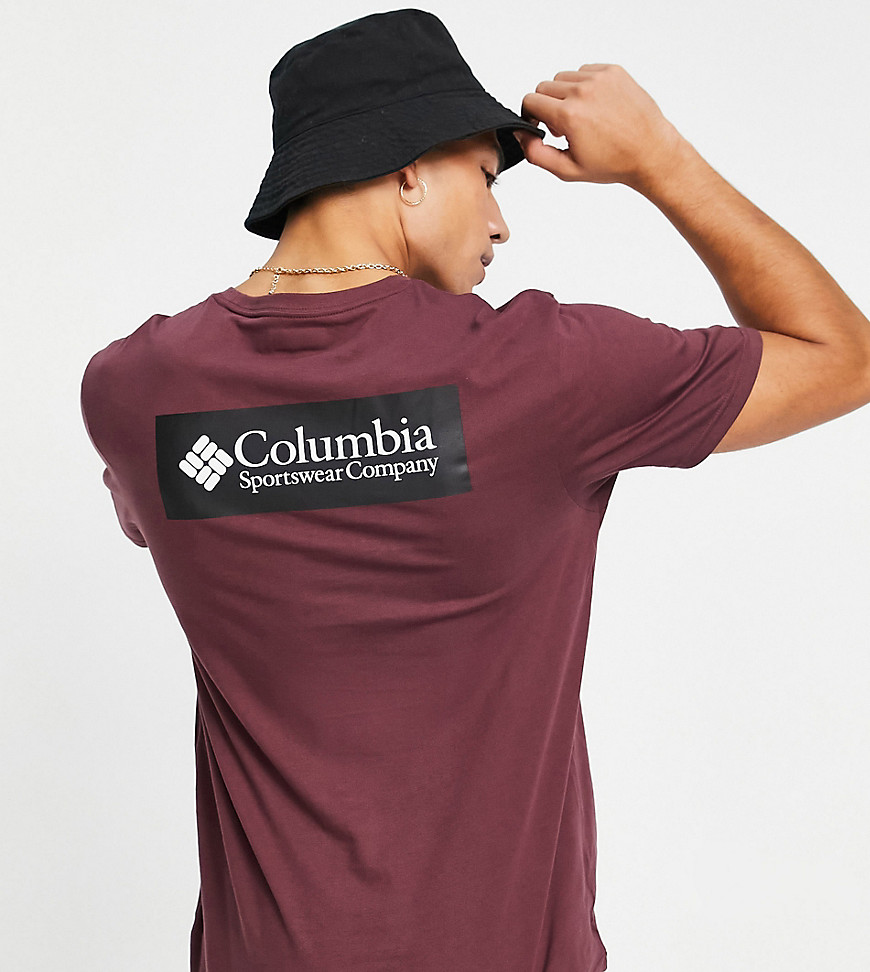 Columbia – North Cascades – T-Shirt in Burgunderrot mit Rückenprint