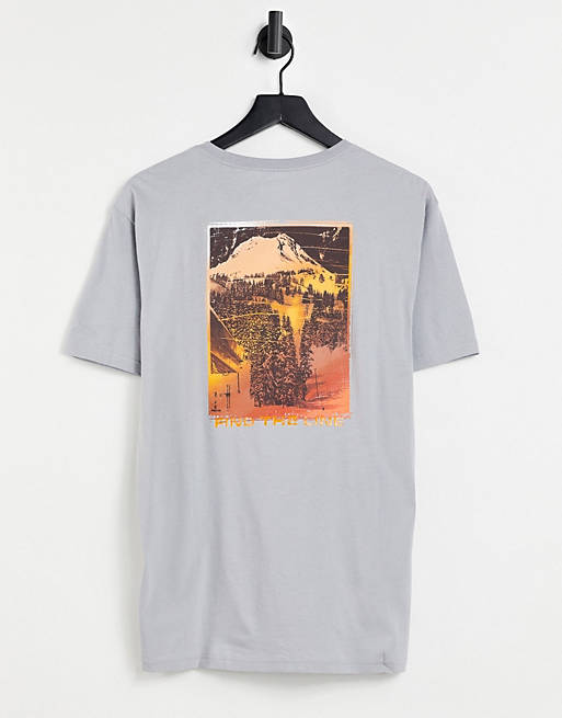 Columbia Pikewood Graphic back print t-shirt in grey