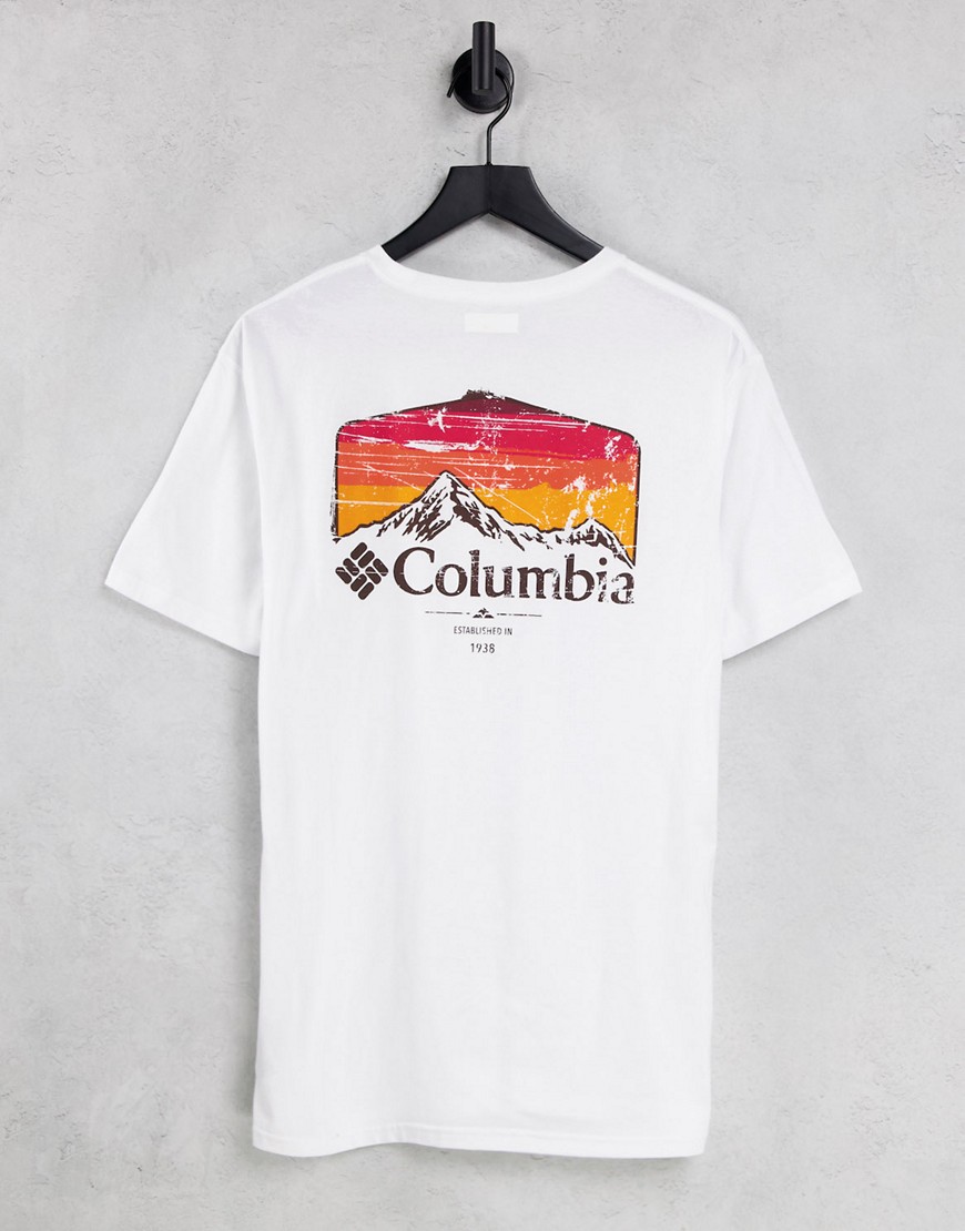 Columbia Pikewood graphic back print T-shirt in white