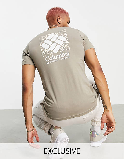 Columbia Rapid Ridge Back Graphic t-shirt in brown Exclusive at ASOS