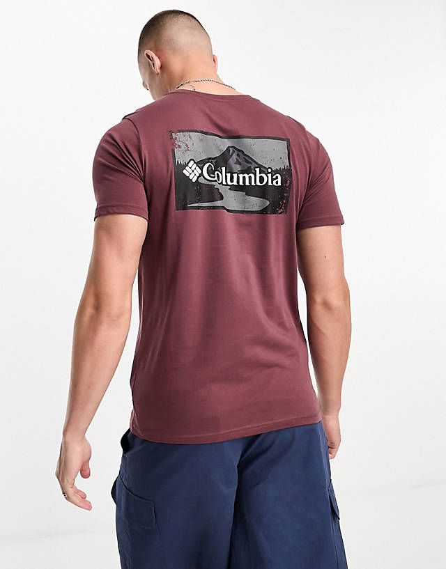 Columbia - rapid ridge back graphic t-shirt in brown exclusive to asos