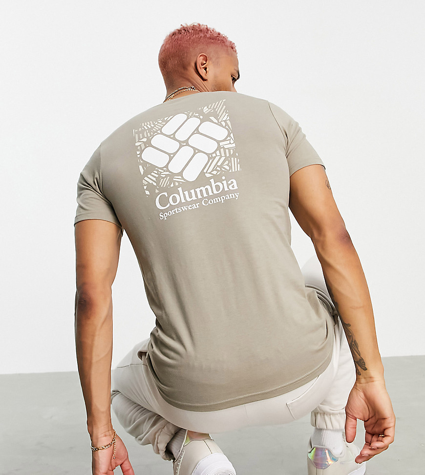 Columbia Rapid Ridge back graphic T-shirt in brown - Exclusive to ASOS