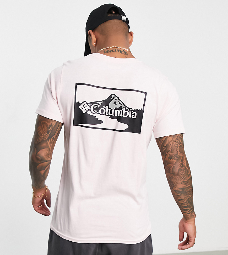 Columbia Rapid Ridge II back print t-shirt in pink Exclusive at ASOS
