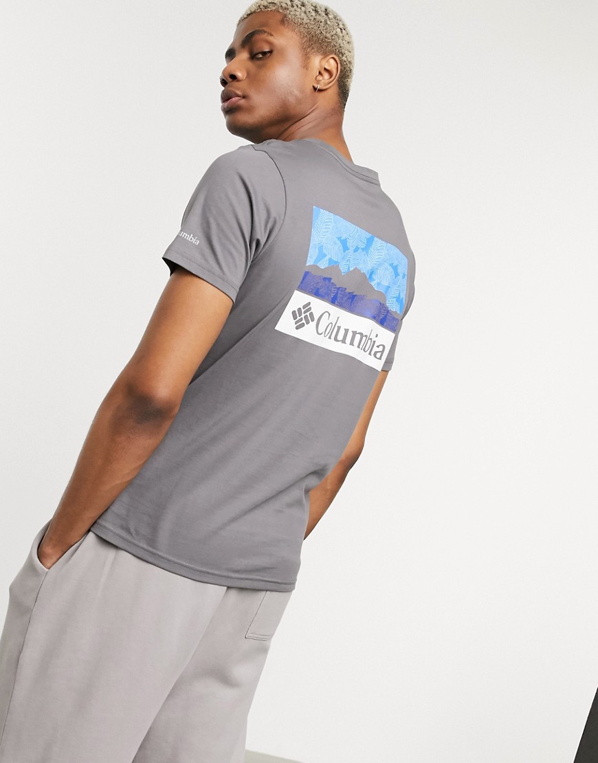 Columbia - Rapid Ridge - T-shirt con stampa sul retro grigia-Grigio