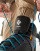 Thumbnail 4 von 4