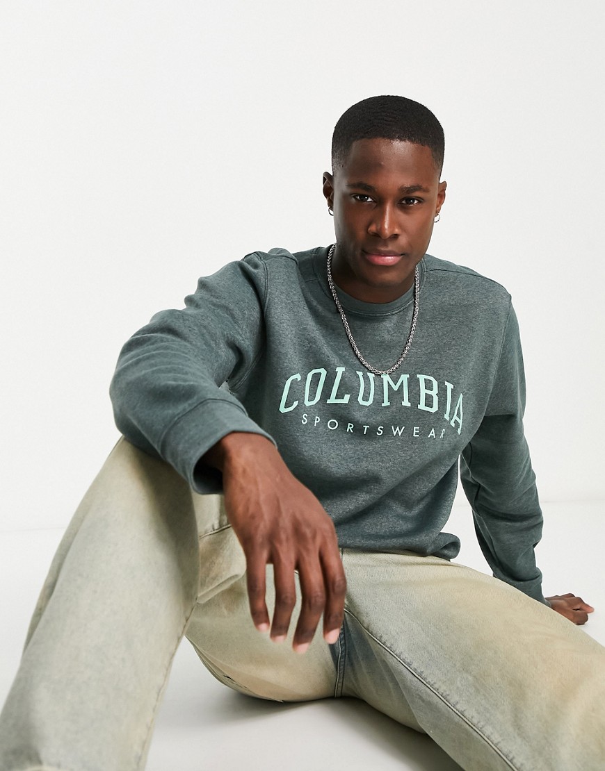 Columbia Trek Collegiate Logo Heavyweight Sweatshirt In Spruce Green