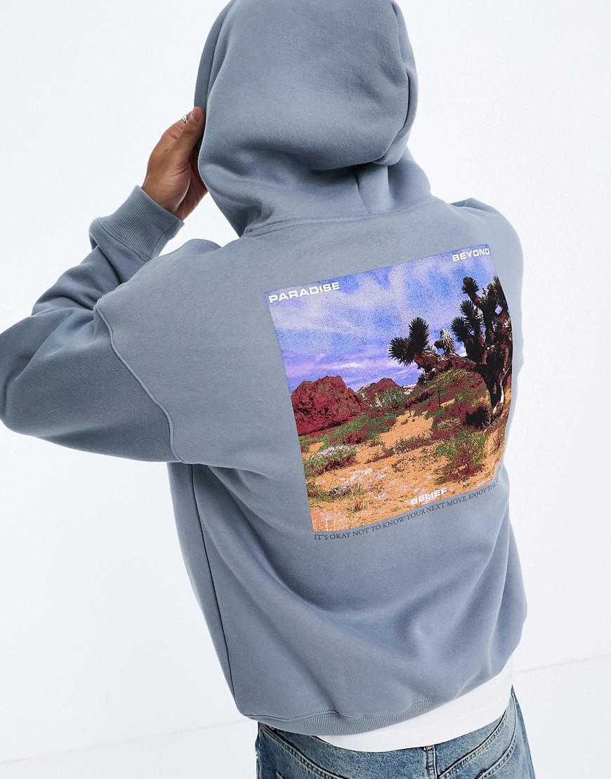 Coney Island Picnic pullover hoodie in gray with lost mind chest and back print