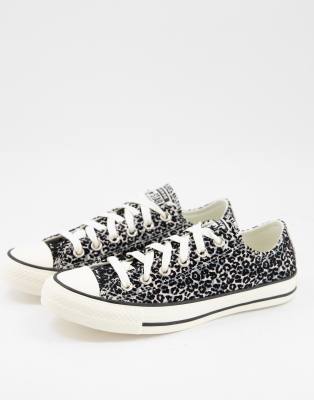 snow leopard converse