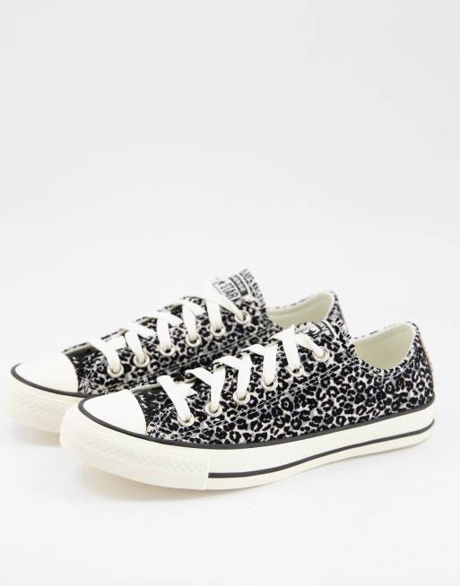 Snow on sale leopard converse