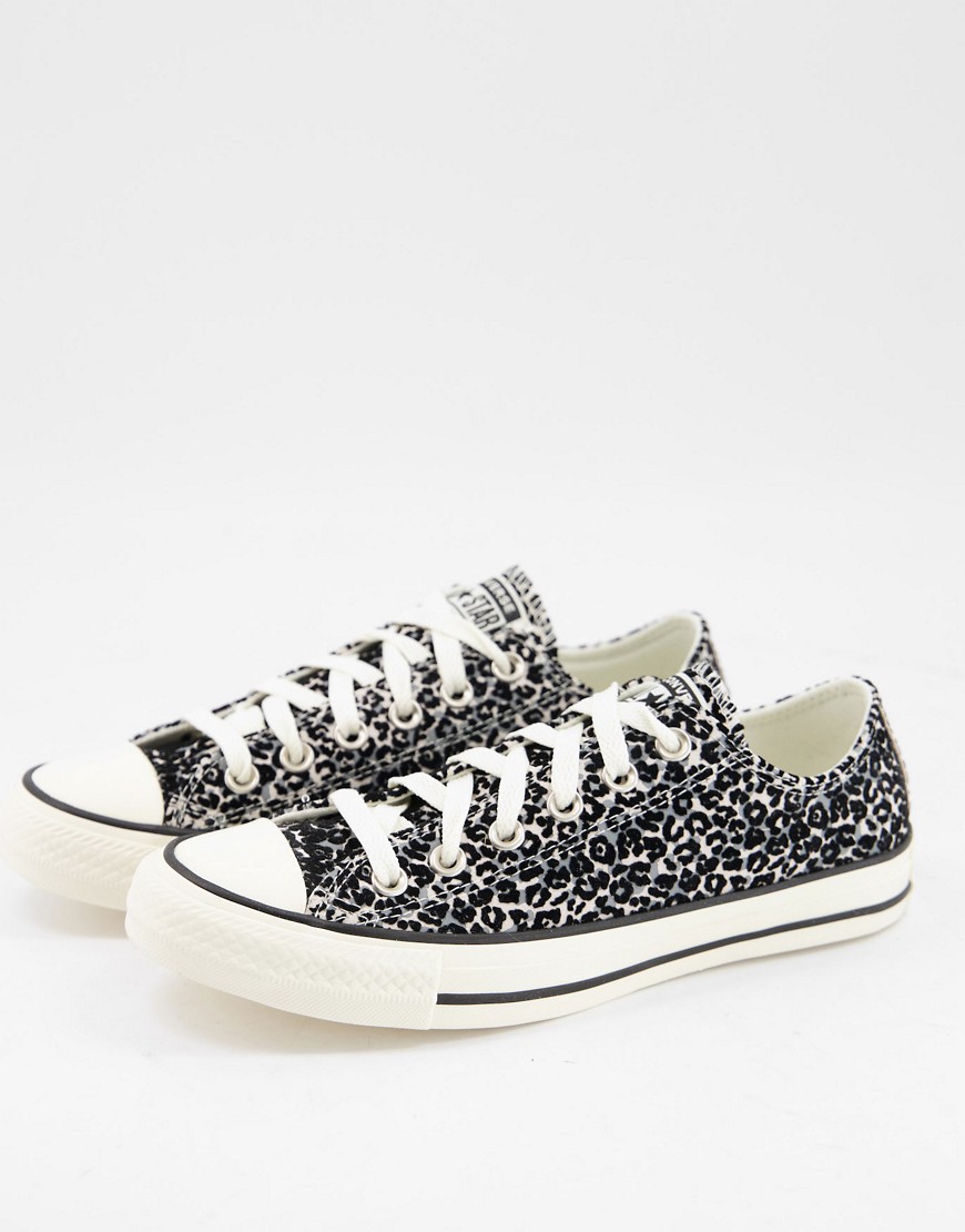 Converse Chuck All Taylor All Star Ox Snow Leopard print suede sneakers in white-Multi
