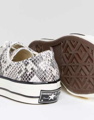 all star snake print