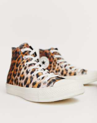 all star leopardo