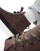 Thumbnail 3 von 5
