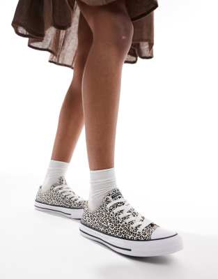 Converse - Chuck Taylor All Star Ox - Sneaker mit Leopardenmuster-Bunt