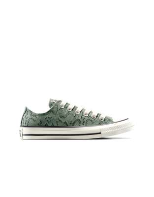  Chuck taylor all star snakeskin print in foothill green/egret/black