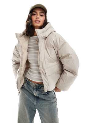 Converse - Kurze Steppjacke in Beige-Braun