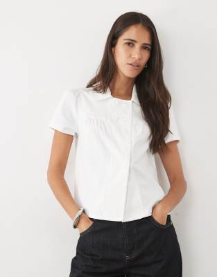 Cotton 3