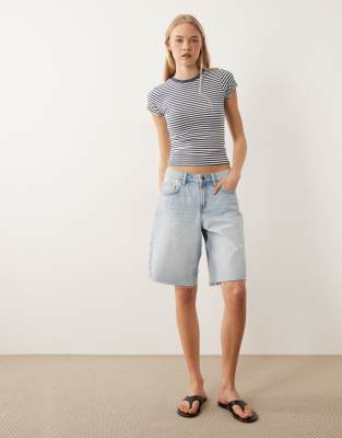Cotton 1