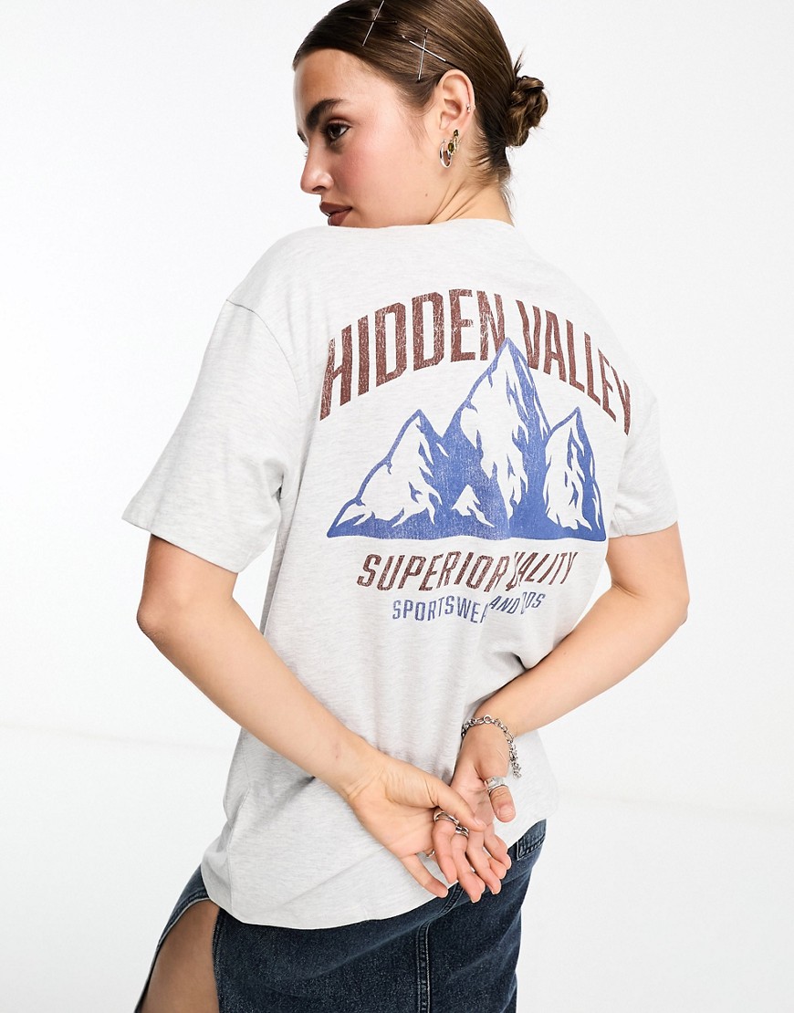 Cotton On relaxed t-shirt with hidden valley graphic-Grey