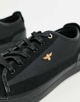 creative recreation kaplan trainers