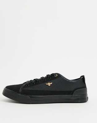 creative recreation kaplan