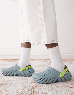  Echo clog in moss