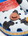 Miniaturebillede 4 af 4