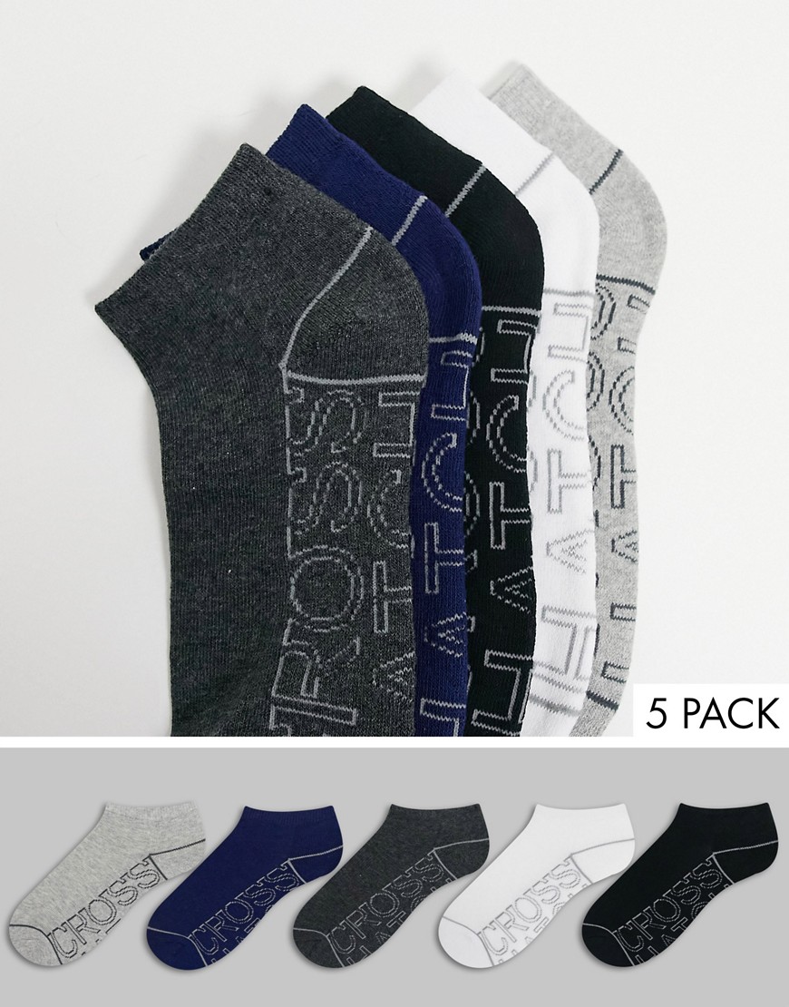 Crosshatch Tibula 5 pack trainer socks in grey