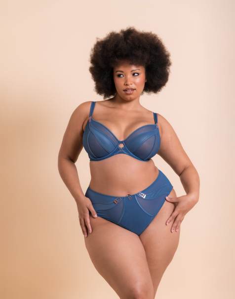Curvy Kate Scantilly suspense high waist brief fuller bust in french blue - view 1