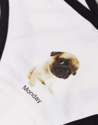 Daisy Street 7 Pack Dogs Of The Week Briefs Set In White