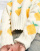 Thumbnail 2 van 4