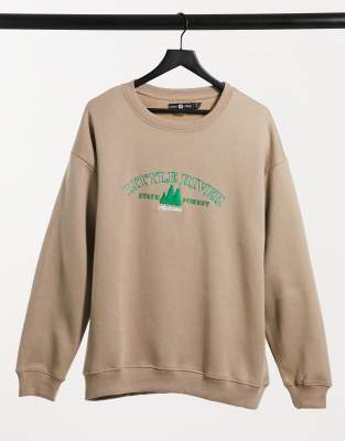 Daisy street oversize sweatshirt