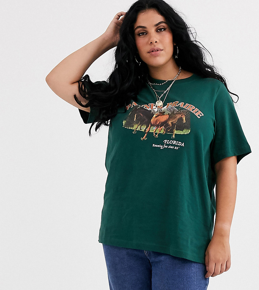 Daisy Street Plus – Avslappnad t-shirt med vintageinspirerat Paynes Prairie-tryck-Grön