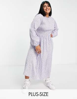 daisy street plus size clothing