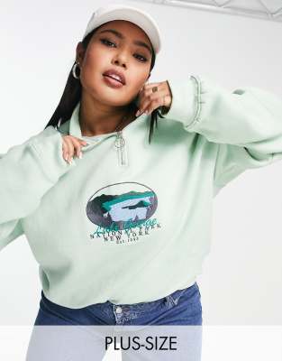 Daisy Street Plus relaxed oversized boyfriend half zip sweatshirt with national park graphic