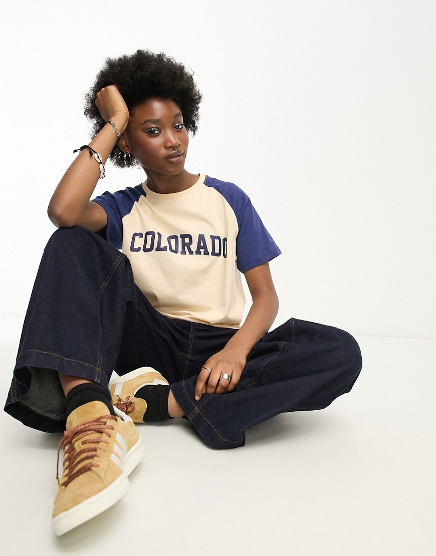 Daisy Street relaxed raglan t-shirt with embroidered colorado graphic-Neutral