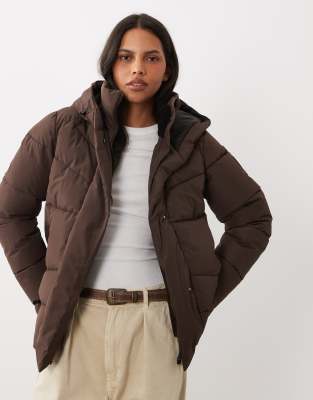 Brown 1