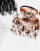 Thumbnail 2 von 3