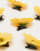 Thumbnail 2 von 3