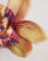Thumbnail 2 of 3
