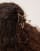 Thumbnail 3 van 3