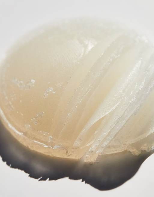 Desodorante diario de 28 ml de tamaño pequeño Rosy Pits de Megababe, 2 de 4