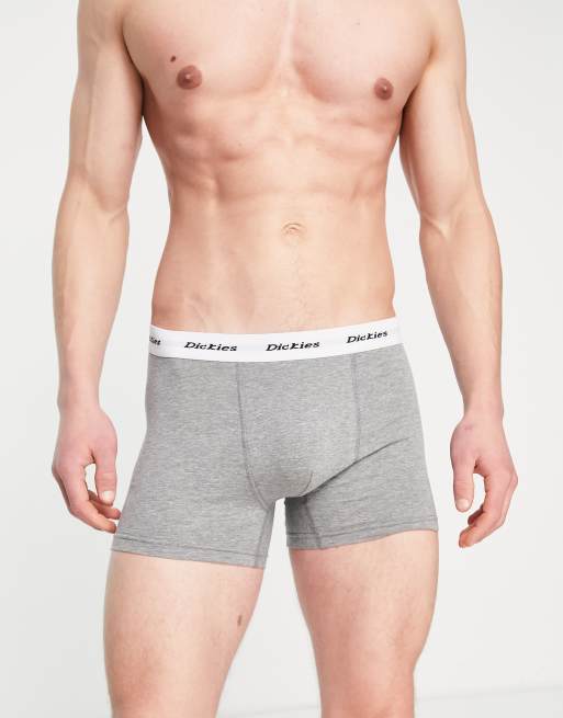 Dickies 2 pack trunk boxers in white multipack