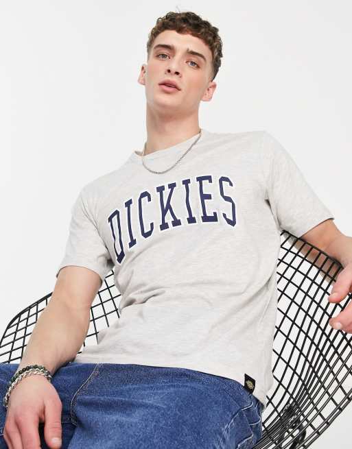 Dickies Aiken t-shirt in grey | ASOS