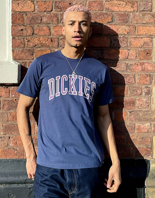 Dickies Aitkin logo t-shirt in blue