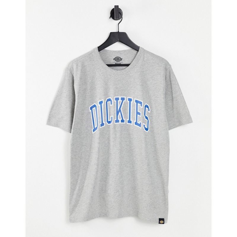 Novità Uomo Dickies - Aitkin - T-shirt grigia
