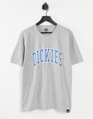 Nouveau Dickies - Aitkin - T-shirt - Gris