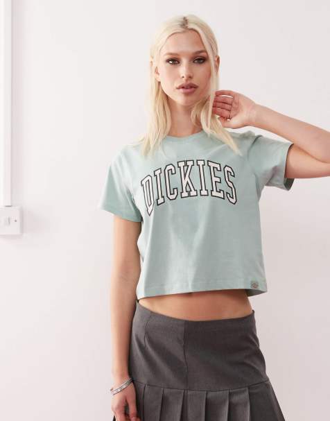 Dickies Aitkin Varsity t-shirt in light green