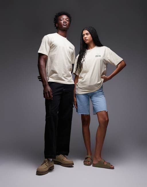 Dickies – Apison – Ljusbrun t-shirt med tryck baktill, 3 av 4