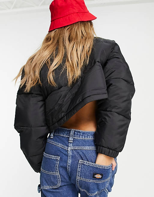 Women Dickies Atlanta cropped puffer jacket in black Exclusive at  